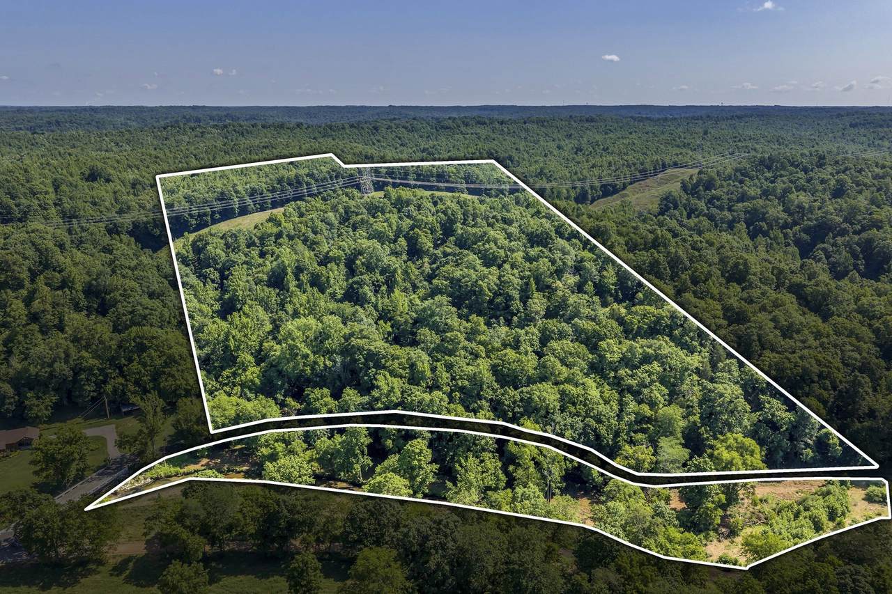 0 East Blue Creek Road - Photo 1