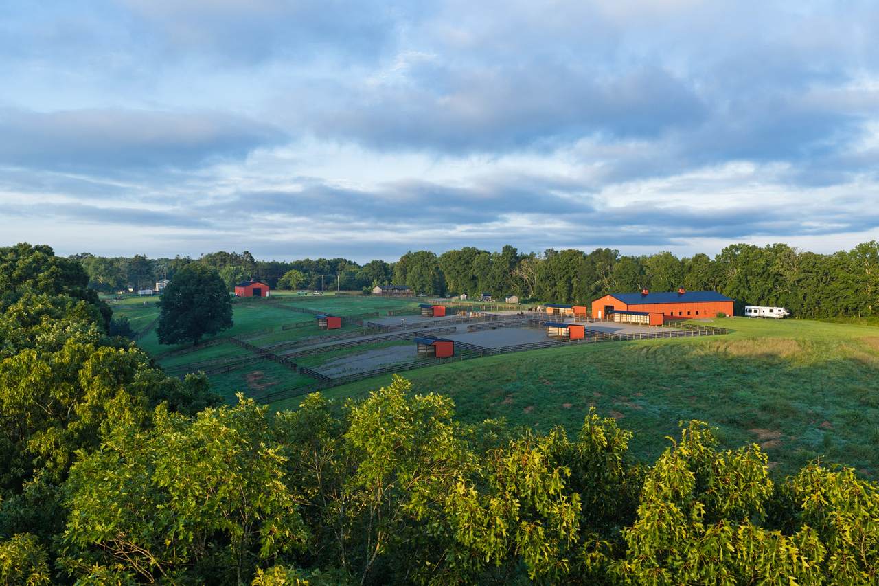 2981 Summertown Hwy - Photo 1