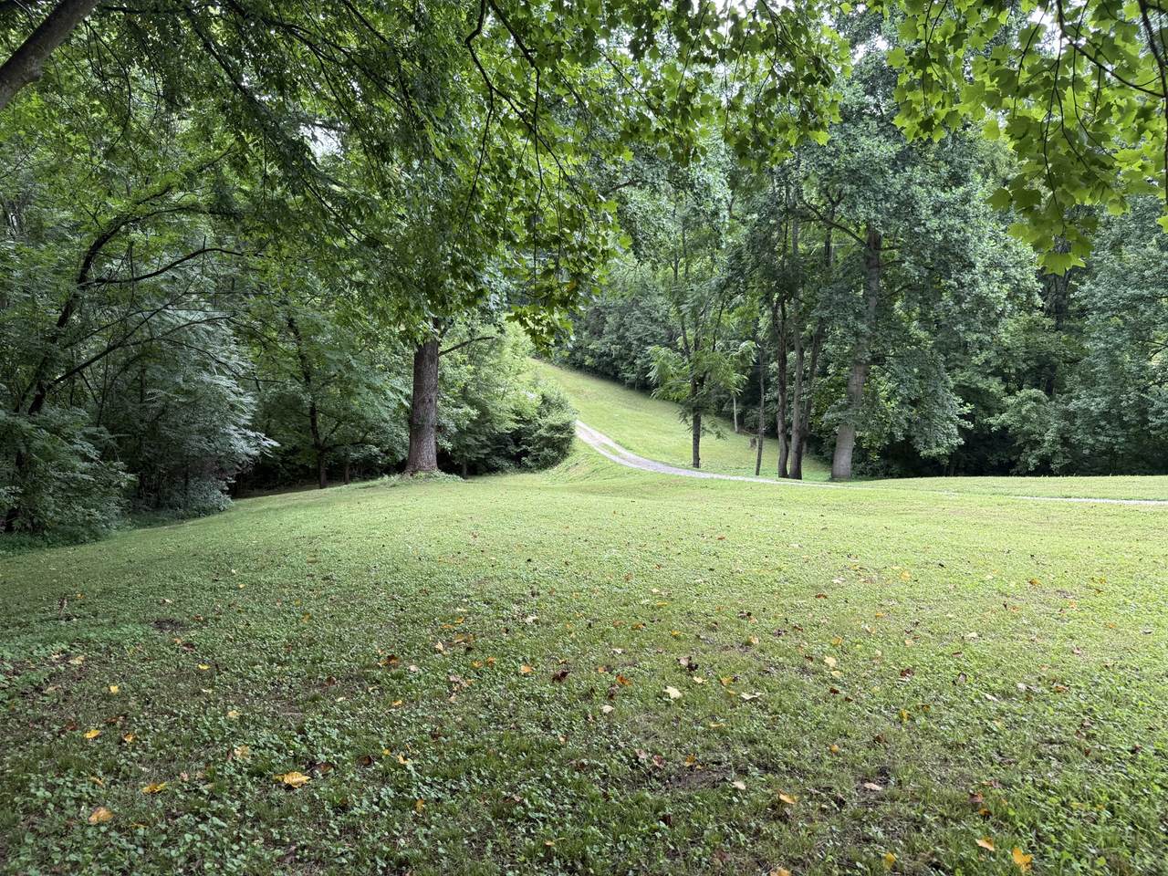 6437 Peytonsville Arno Rd - Photo 1