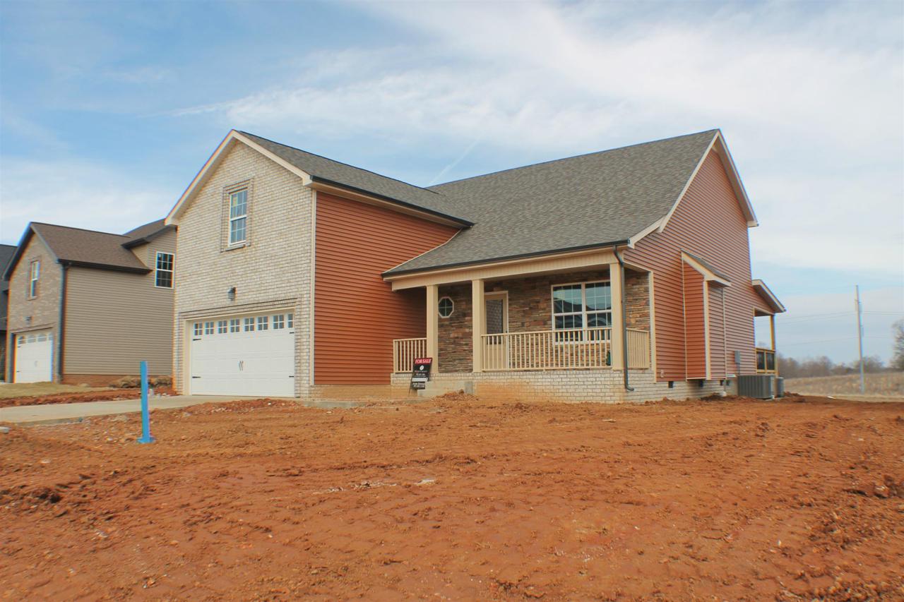 736 Crestone Lane - Photo 1