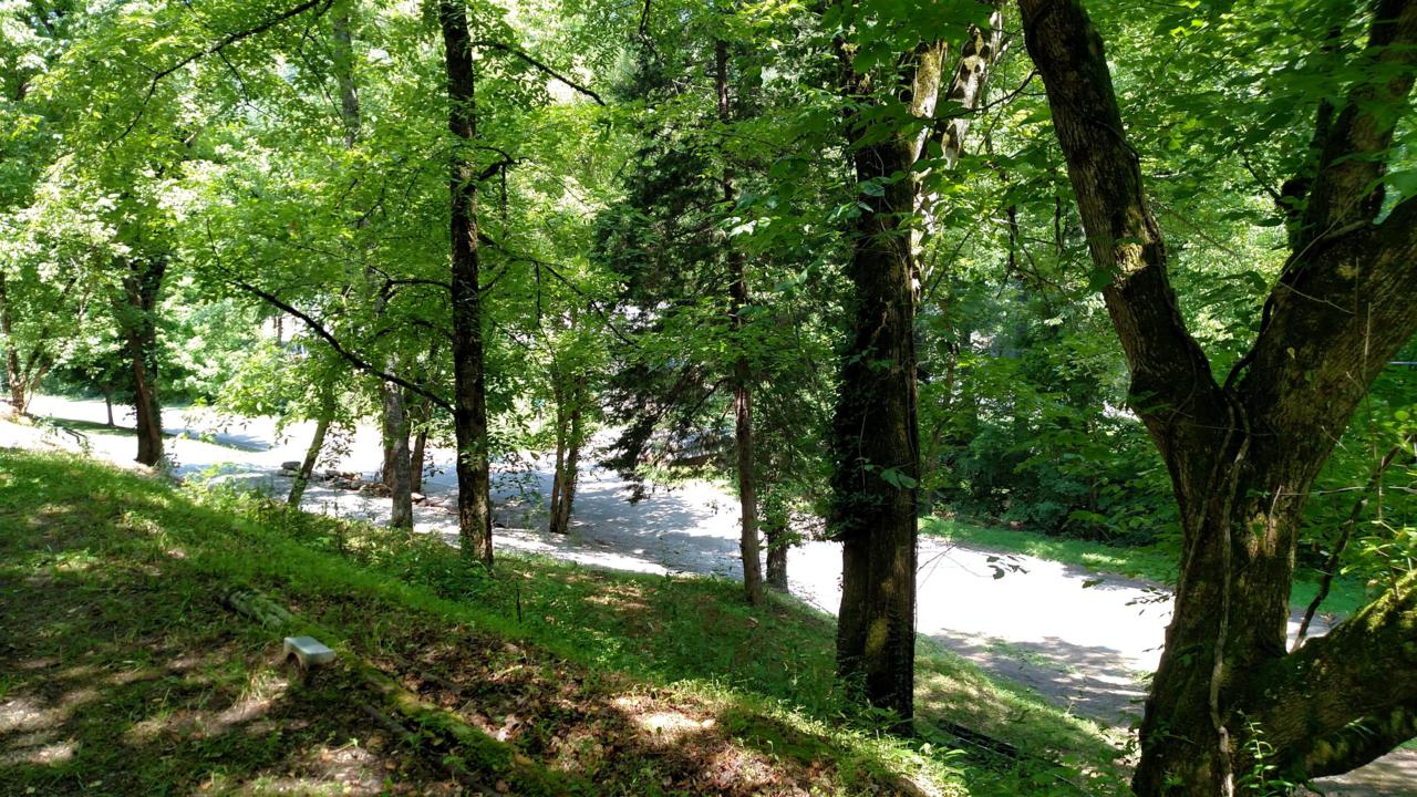 0 Holmes Creek Rd - Photo 1