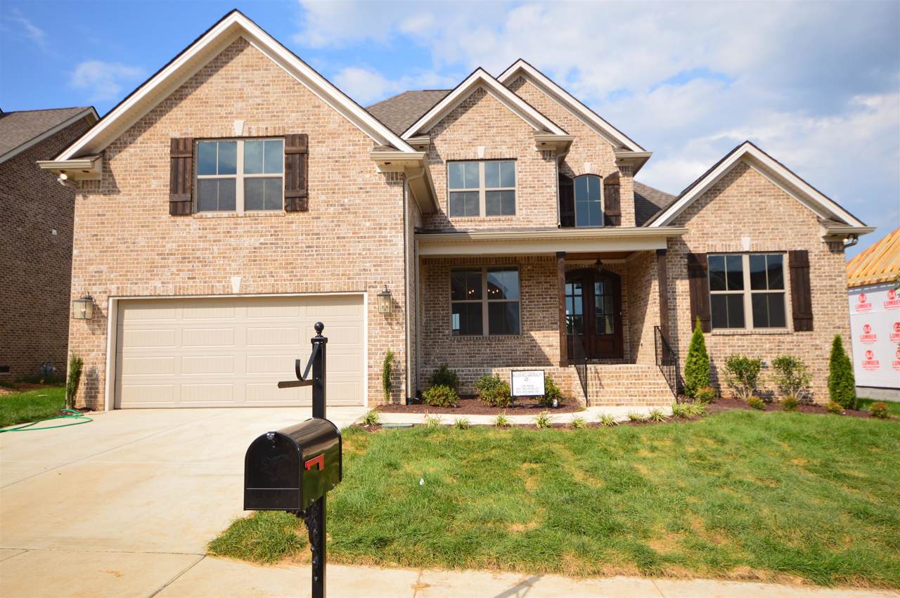 1017 Alpaca Drive (402) - Photo 1