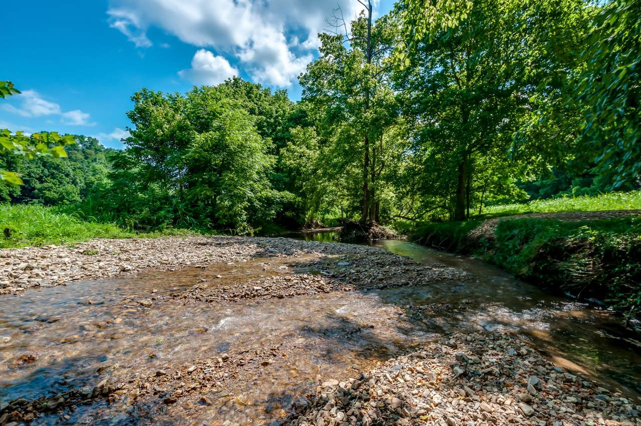 7379 Caney Fork Rd - Photo 1