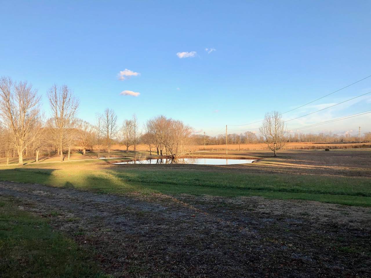 4188 Summertown Hwy - Photo 1