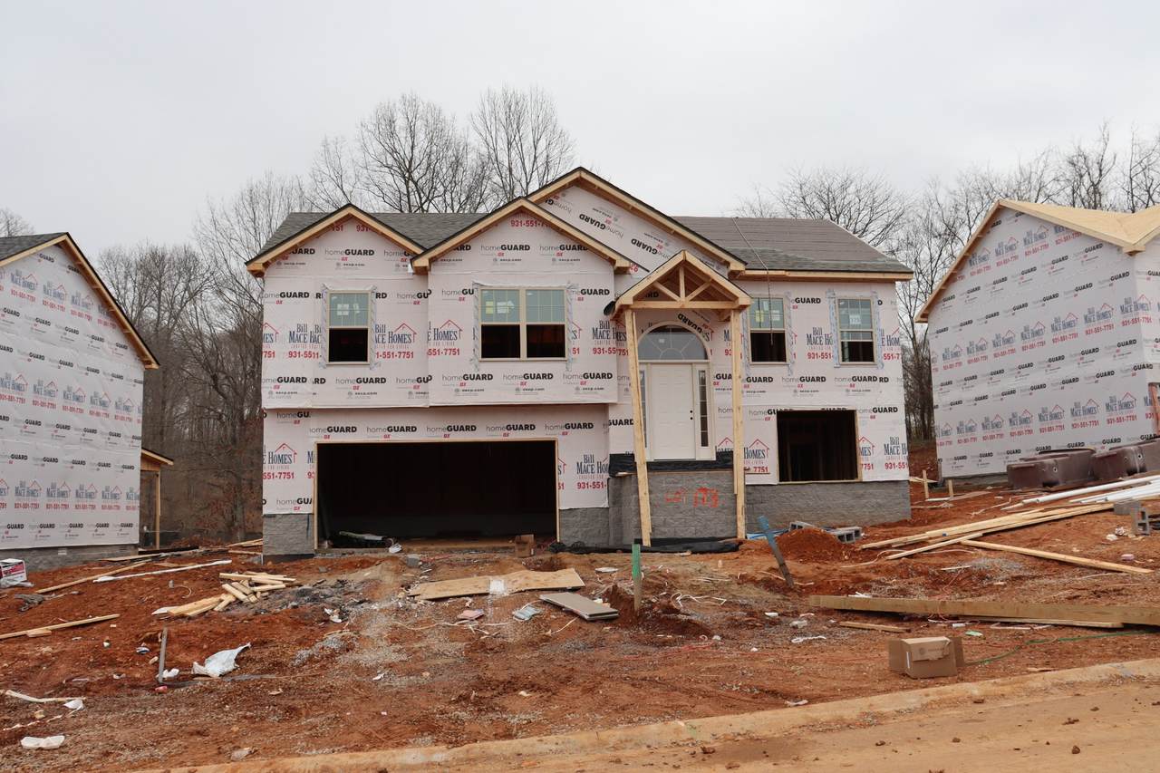 173 Chalet Hills - Photo 1