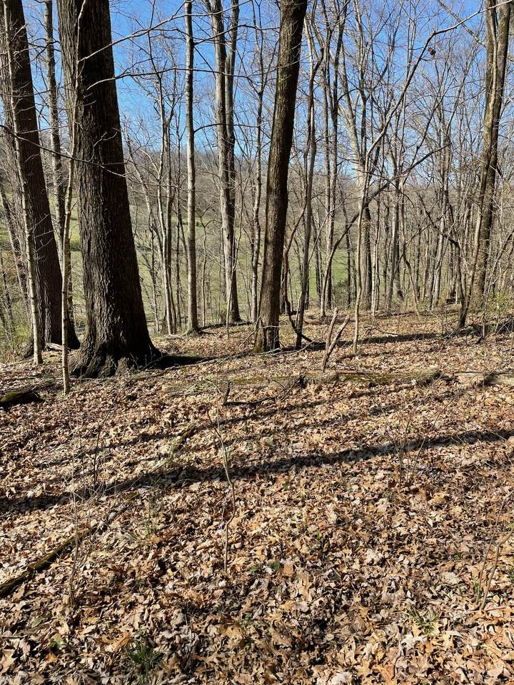 2057 Hillsboro - Photo 1
