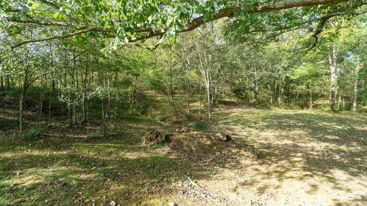 1457 Upper Station Camp Crk - Photo 1