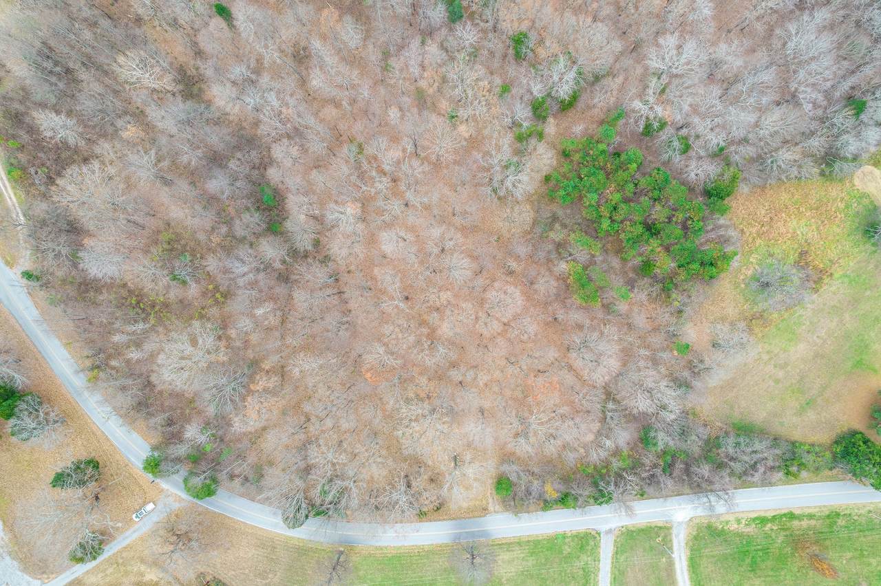 4447 Baggett Hollow Rd - Photo 1