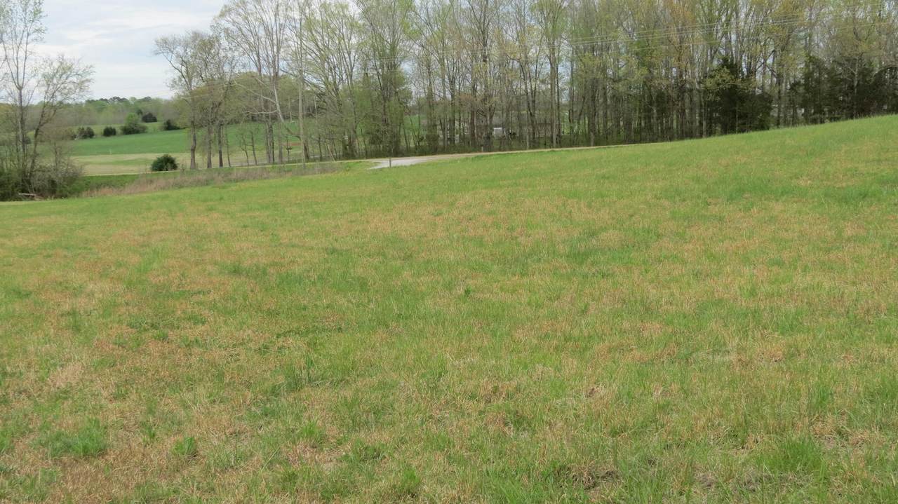 2330 Hwy 100 W - Photo 1