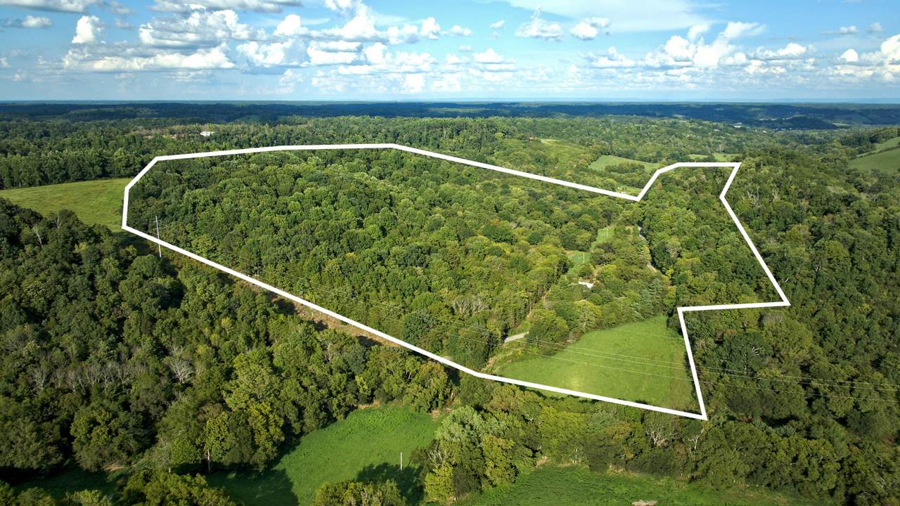 1102 Dog Tail Rd - Photo 1