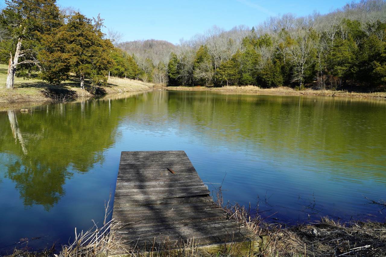 59 Wiley Hollow Rd - Photo 1