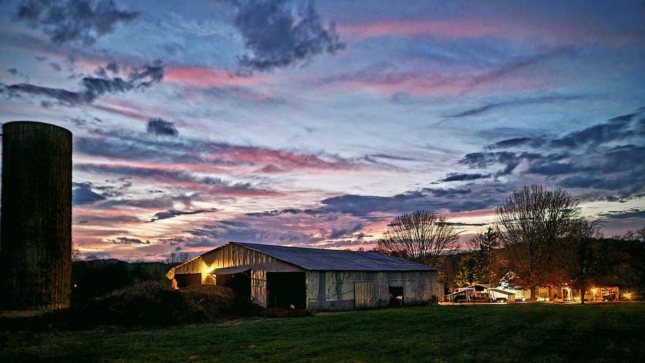 1655 Cornersville Hwy - Photo 1