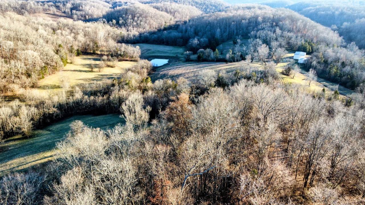 1820 Petty Hollow Rd - Photo 1