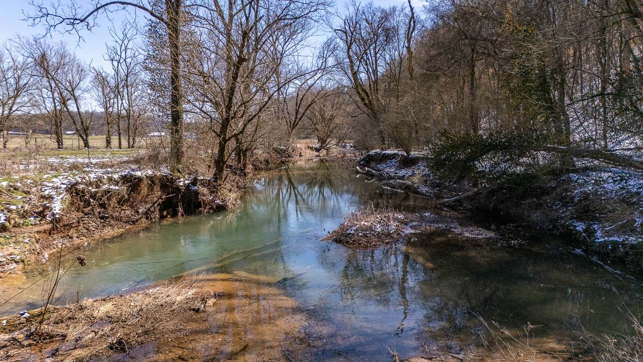 4000 Weakley Creek Road - Photo 1