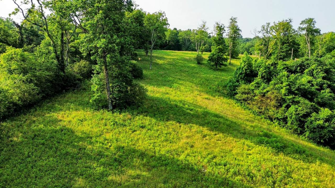0 Hwy 64 W - Photo 1
