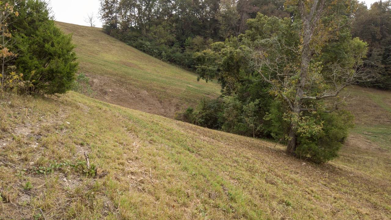 https://bt-photos.global.ssl.fastly.net/nashville/1280_boomver_5_RTC2581042-1.jpg