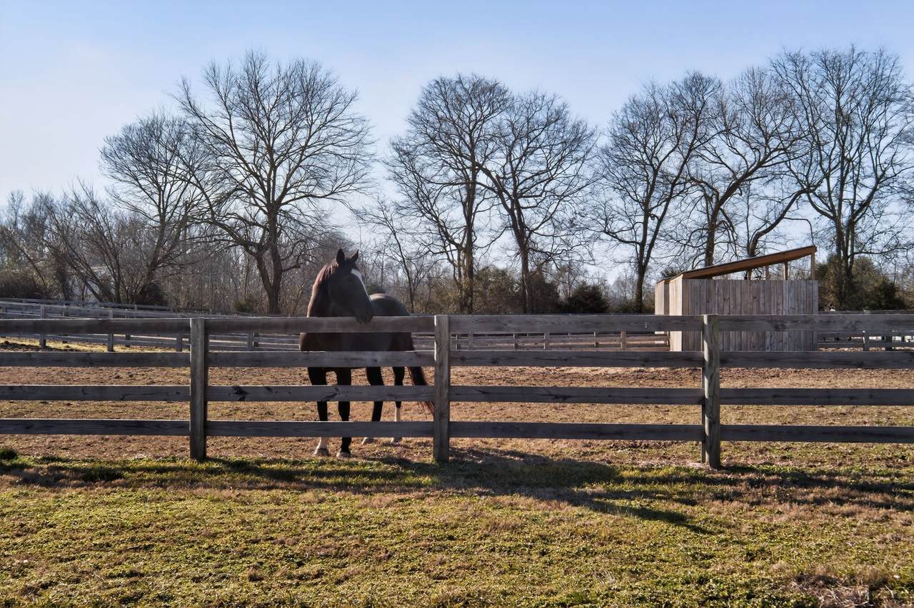 441 Matts Hollow Rd - Photo 1