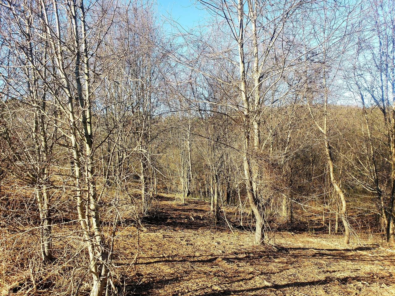 0 Eudailey Covington Rd - Photo 1