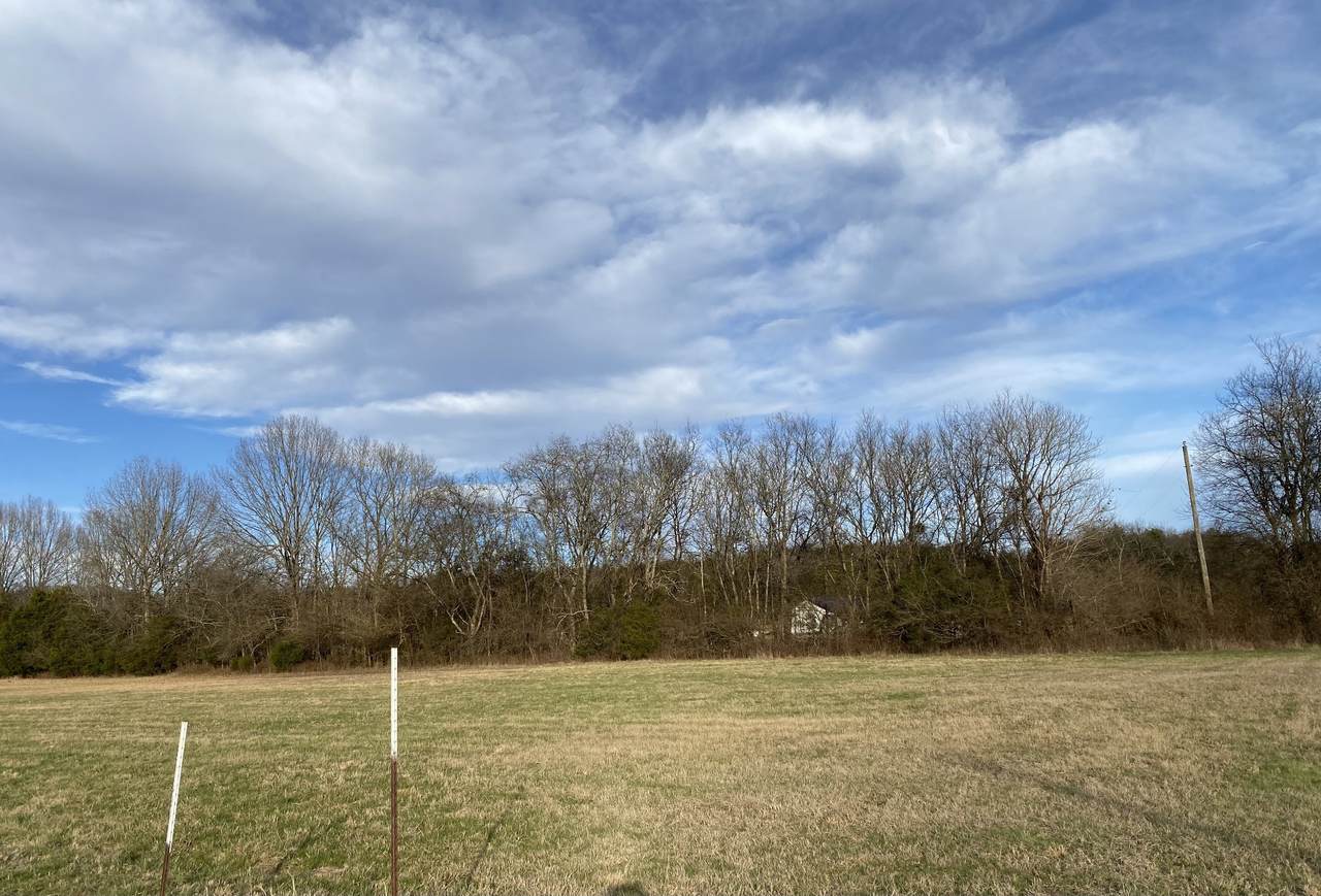 0 Brown Shop Rd - Photo 1