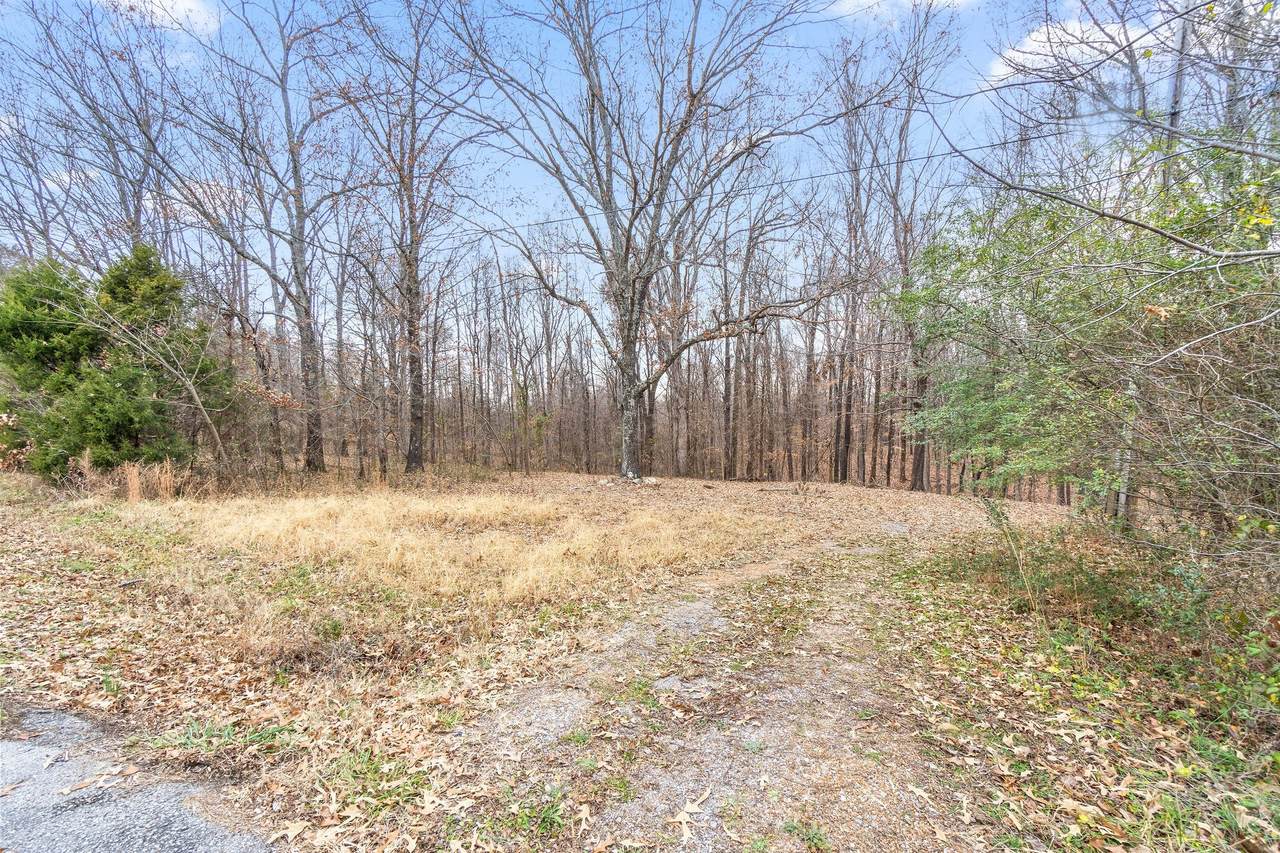 4447 Baggett Hollow Rd - Photo 1