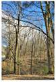 8171 Mccrory Ln - Photo 1
