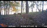 0 Red River School Rd - Photo 13