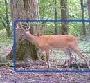 0 Red River School Rd - Photo 14