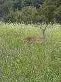 0 Red River School Rd - Photo 17