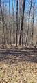 0 Eagle Shore Dr - Photo 3