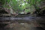 0 Long Branch Rd - Photo 1