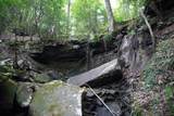 0 Long Branch Rd - Photo 2