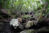 0 Long Branch Rd - Photo 3