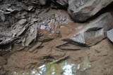 0 Long Branch Rd - Photo 4