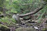 0 Long Branch Rd - Photo 6