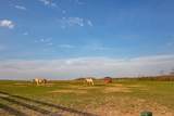 0 Long Branch Rd - Photo 56