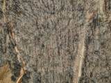0 Fawn Ridge Rd - Photo 10