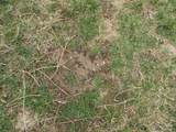 6294 Snail Shell Cave Rd - Photo 14