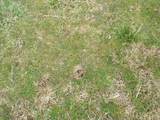 6294 Snail Shell Cave Rd - Photo 23
