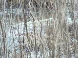 6294 Snail Shell Cave Rd - Photo 25