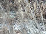 6294 Snail Shell Cave Rd - Photo 26