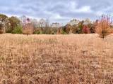 0 Dice Lampley Road - Photo 14