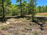 0 Mccartt Ridge Lane - Photo 7