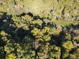 0 Cole Ridge Road - Photo 3