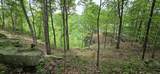 0 Bridal Veil South - Photo 23