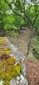 0 Bridal Veil South - Photo 26