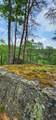 0 Bridal Veil South - Photo 28