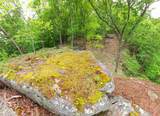 0 Bridal Veil South - Photo 29