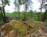 0 Bridal Veil South - Photo 31