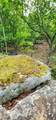 0 Bridal Veil South - Photo 32