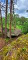 0 Bridal Veil South - Photo 33
